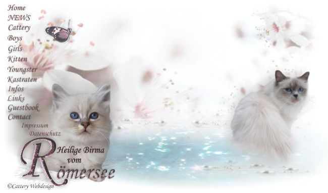 Startseite mit Menue