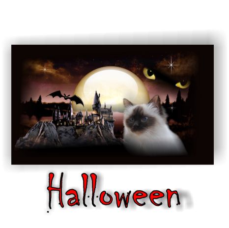 Wall-Grafikdesign Wall-Grafikdesign